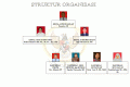 struktur organisasi new