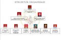 struktur organisasi