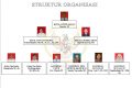struktur organisasi